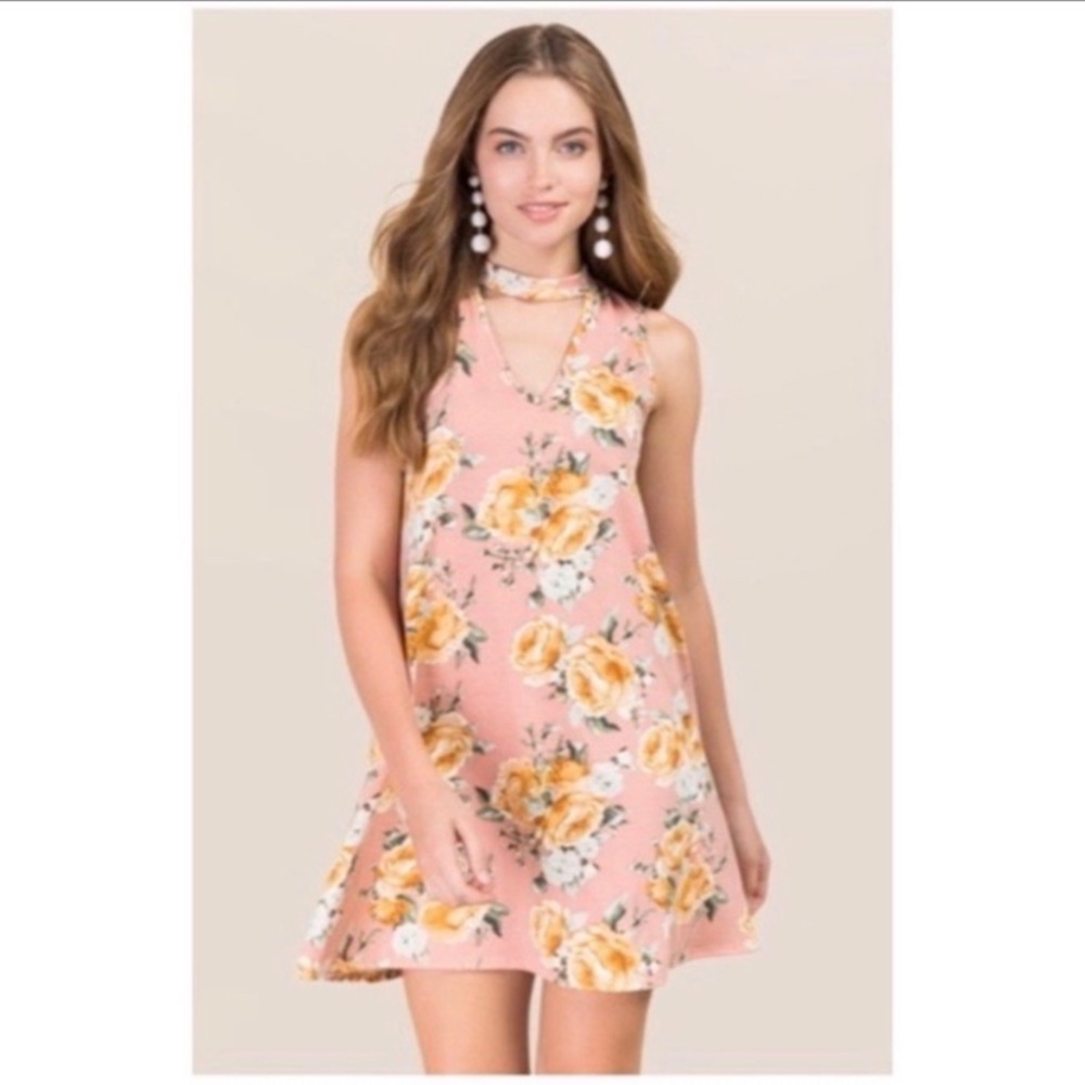 Nwt Francescas Alya XS S pink floral swing dress